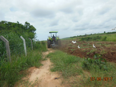 AGRICULTURAL PROJECT